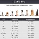 718epK3QiHL._AC_SL1500_