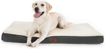 large dog bed